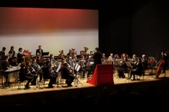 Concerto-di-Gala-2017-Banda-Gorlago-11